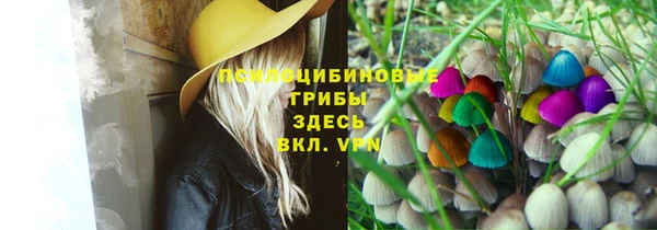 не бодяженный Алзамай
