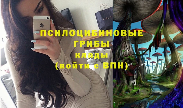 экстази Алексин