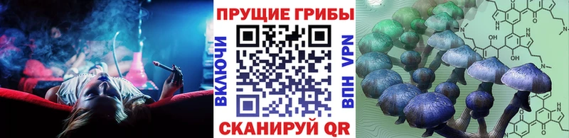 kraken онион  Анадырь  нарко площадка состав  Галлюциногенные грибы Cubensis 